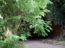 Rodwell Trail
