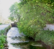 River Wey flowing through Upwey