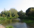River Wey flowing through Upwey